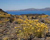 Santorini Caldera in Santorini