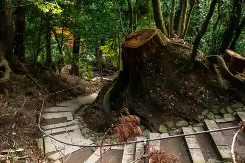 10. Kurama-berg, Kyoto