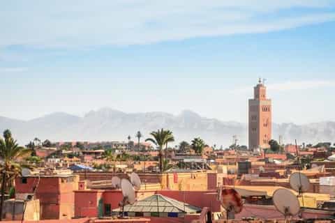 Le Meilleur De Marrakech Safi Visites De Plantations 2026 Annulation le-meilleur-de-marrakech-safi-visites-de-plantations-2026-annulation