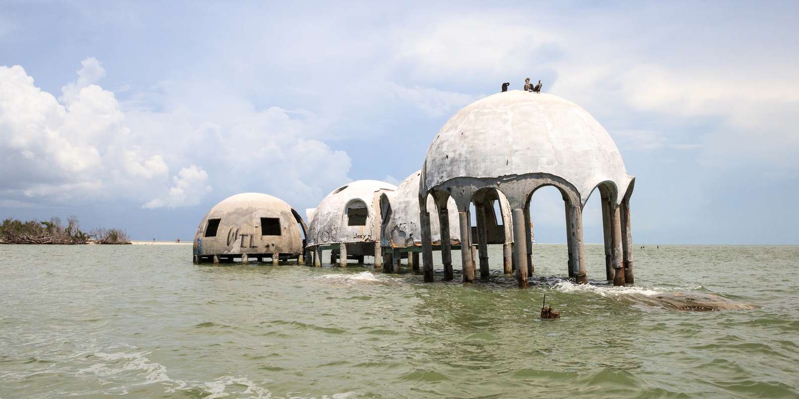 The BEST Cape Romano Florida Cruises - 99