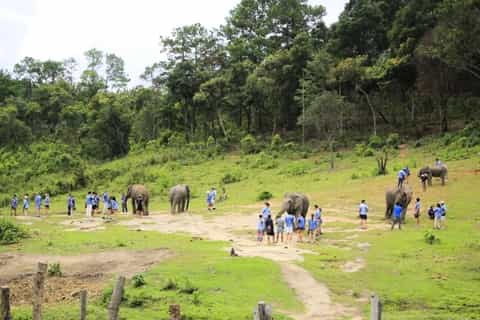 Elephant Sanctuary, Chiang Mai