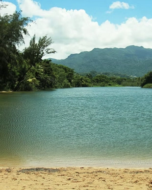 Carabalí Rainforest Park