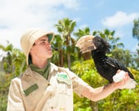 Las Águilas Jungle Park in Tenerife
