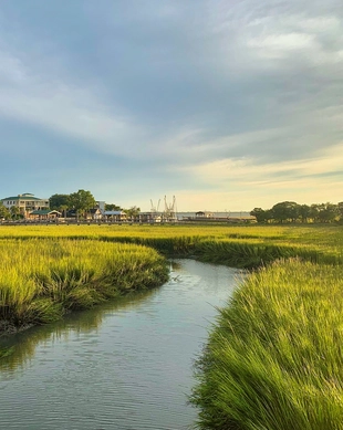 Shem Creek Park, Mount Pleasant