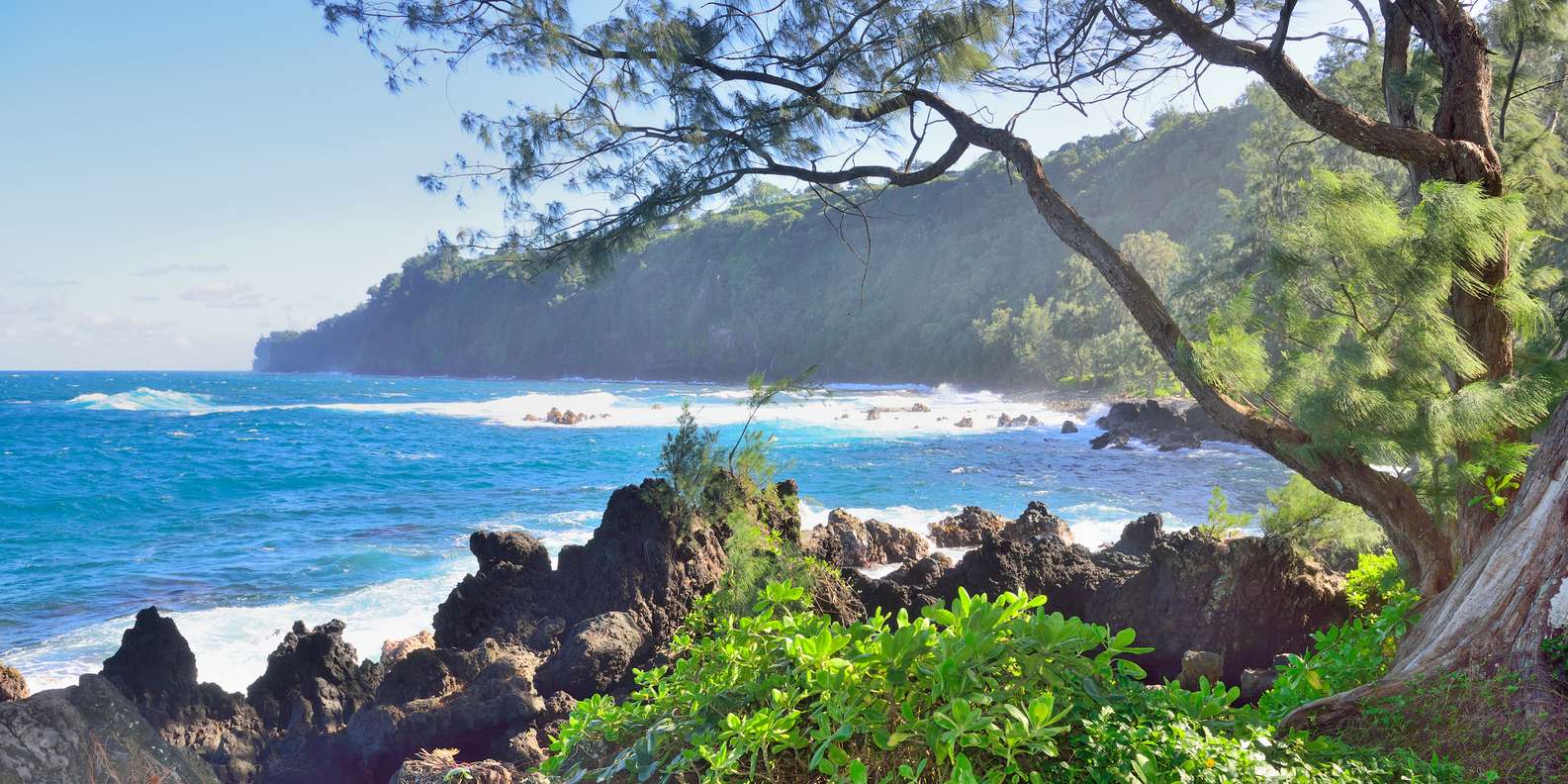 The BEST Laupahoehoe, Hawaii Summer activities 2023 FREE Cancellation