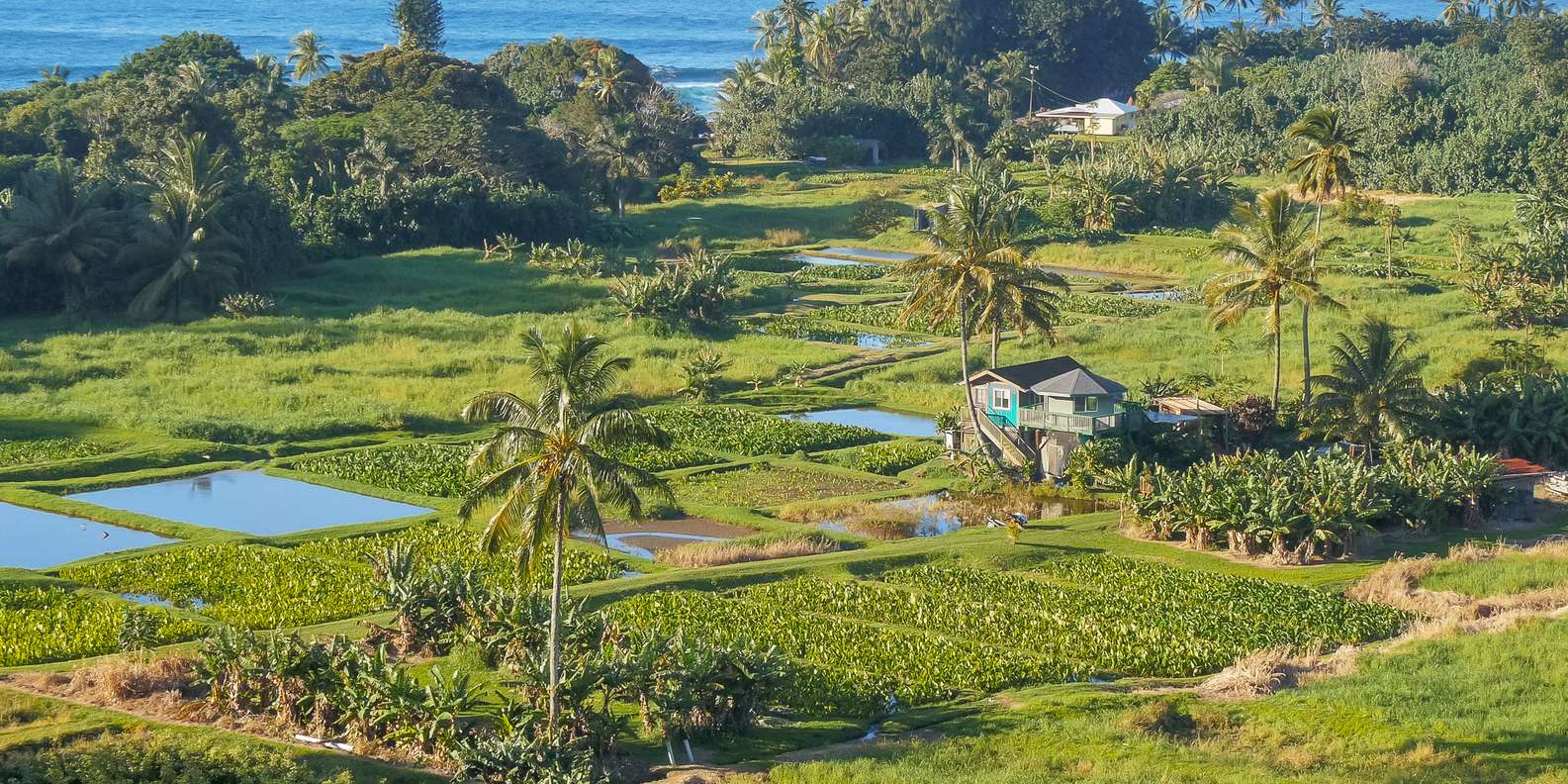 Top P Wysep Ke Anae Maui Parki Narodowe Darmowa Rezygnacja