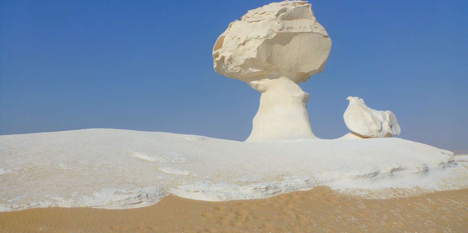 The BEST White Desert Tours and Things to Do in 2024 FREE