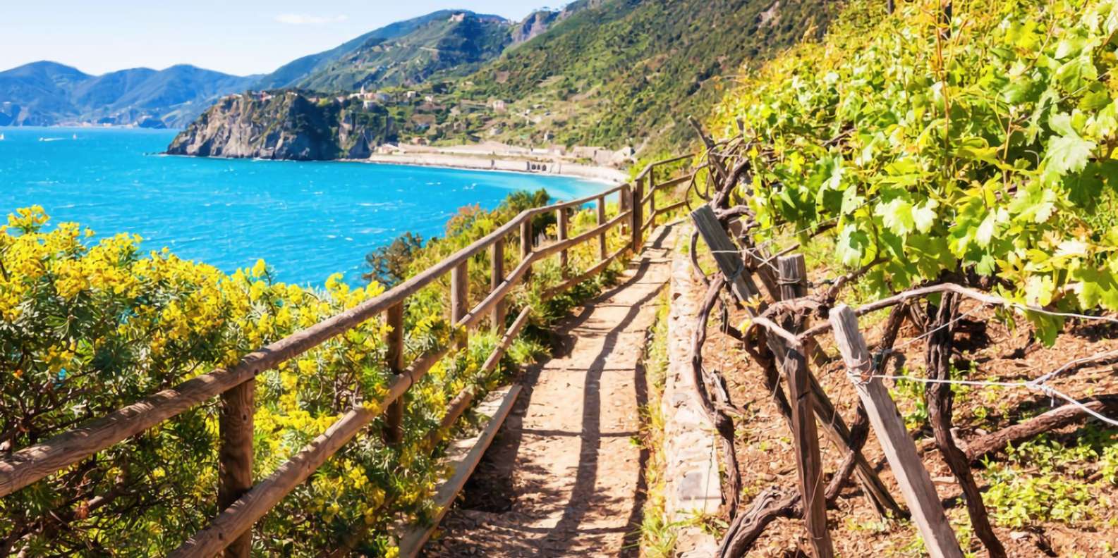 Parc national des Cinque Terre Italie Activités d été le MEILLEUR