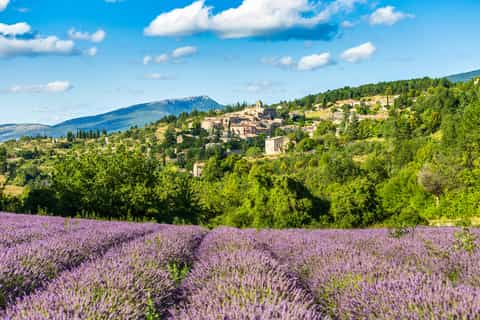 France: Food & drinks