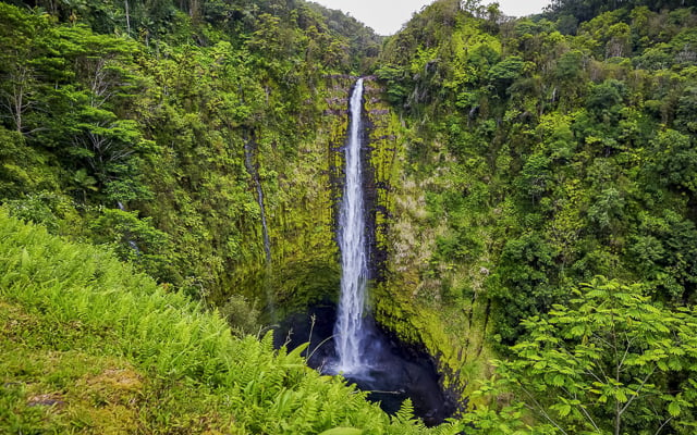 'Akaka Falls, Hawaii, Illa de Hawaii: reserva d'entrades i visites ...