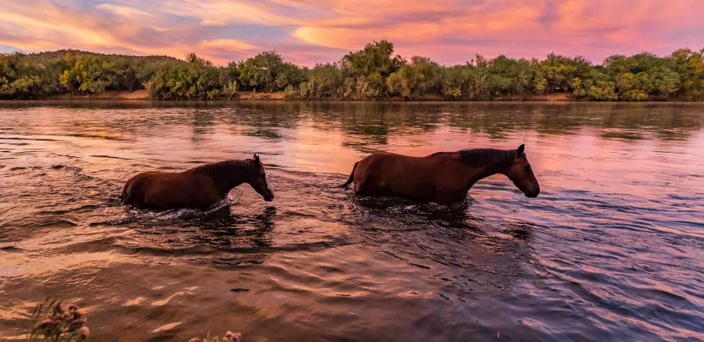 The BEST Mesa, Arizona Outdoor activities 2023 FREE Cancellation