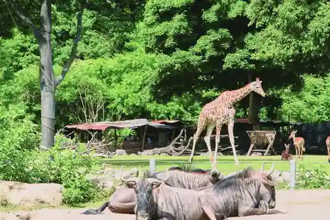 5. Zoológico de Copenhague