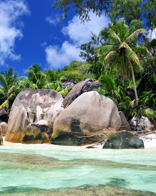 Praslin Saint Lucia De BESTE Tours En Dingen Om Te Doen In 2024 praslin-saint-lucia-de-beste-tours-en-dingen-om-te-doen-in-2024