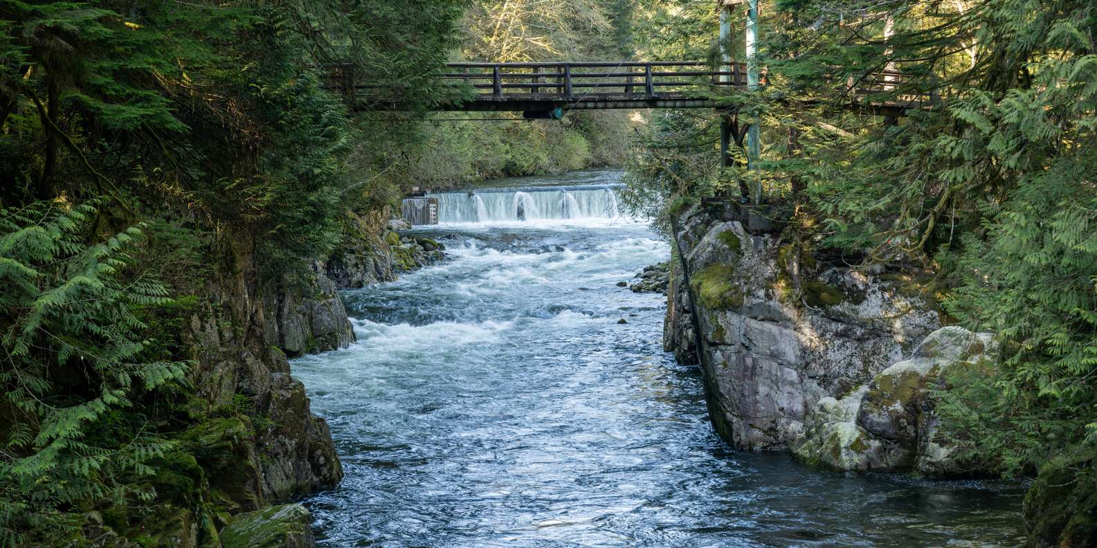 Río Capilano, Vancouver Actividades para toda la familia: lo MEJOR de ...