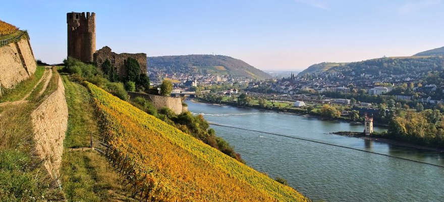 Rhine River (Bingen)