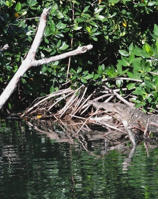 Laguna di Nichupté