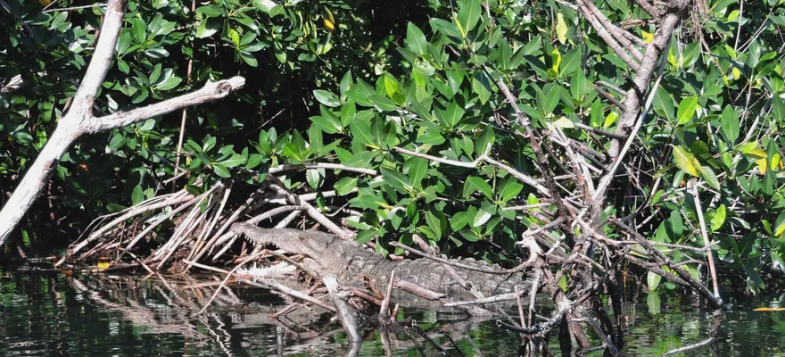 Laguna di Nichupté
