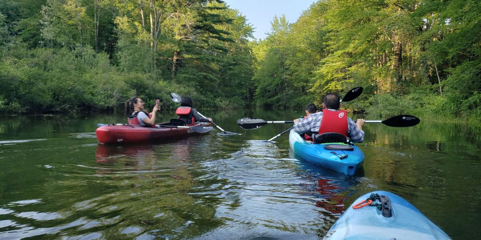 The BEST Sebago Lake, Maine Autumn activities 2023 - FREE Cancellation ...