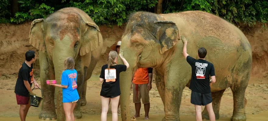Elephant Jungle Sanctuary Phuket