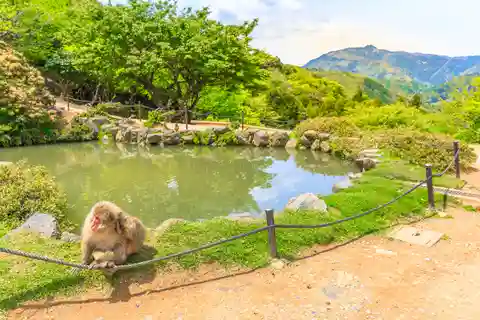 9. 岩田山モンキーパーク