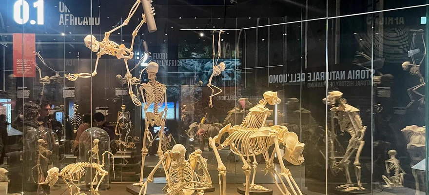 Natural History Museum, Milan