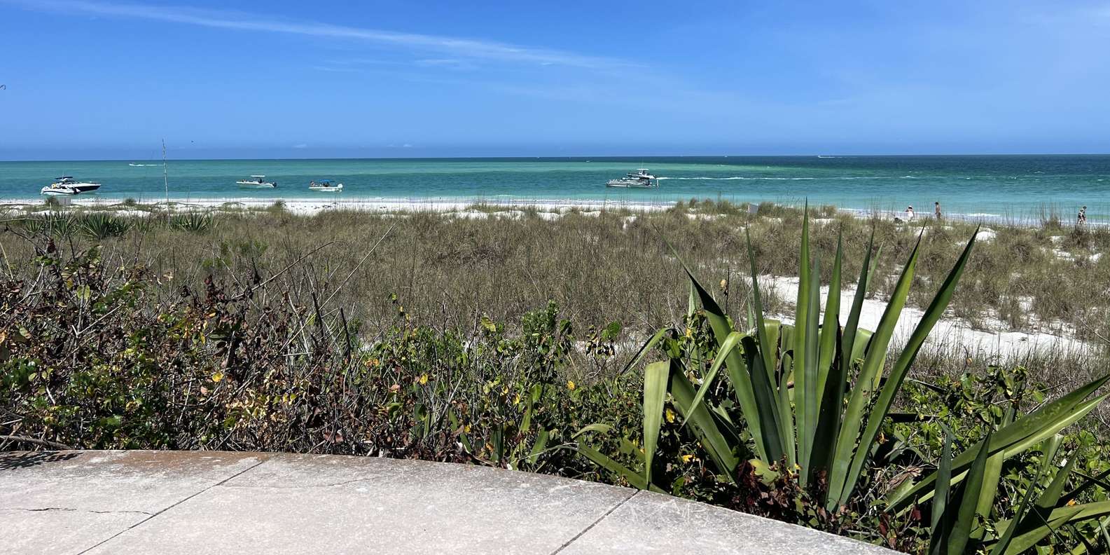 The BEST Egmont Key National Wildlife Refuge, Florida National parks