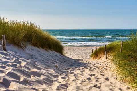 The BEST Baltic Sea Coast, Tours and Things to Do - FREE | GetYourGuide