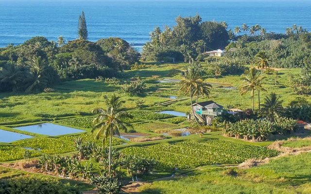 Ke‘anae Peninsula, Maui