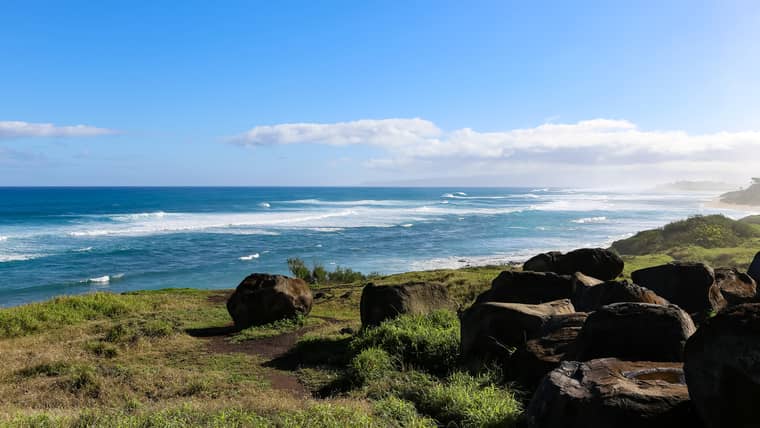 Best Activities in Waialua