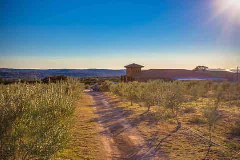 The BEST Dripping Springs, Texas Tours and Things to Do in 2026