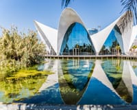 Oceanogràfic in Valencia