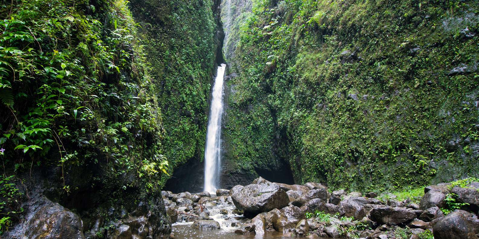 The BEST Sacred Falls, Oahu Extreme sports & adrenaline 2023 - FREE ...