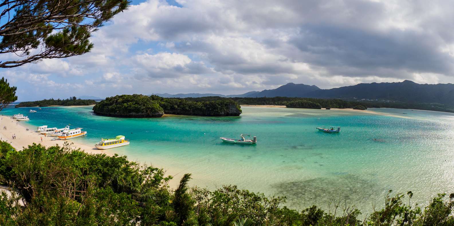 the-best-iriomote-ishigaki-national-park-small-group-activities-2023