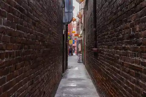 1. Fan Tan Alley, Victoria