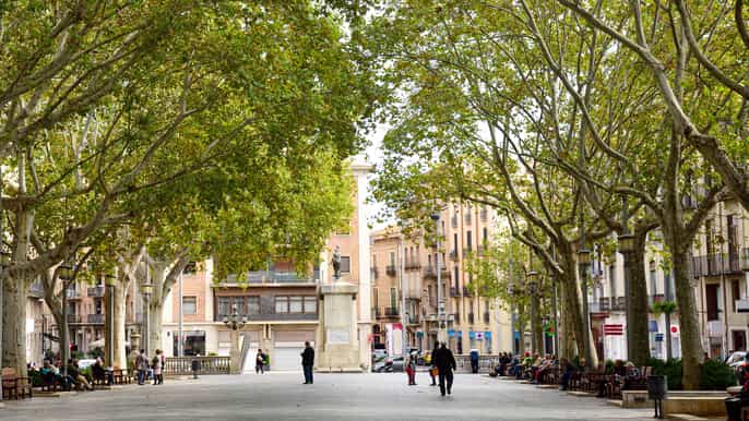Day trip to Figueres