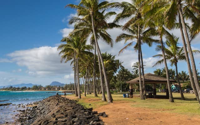 Best Activities in Kapaʻa