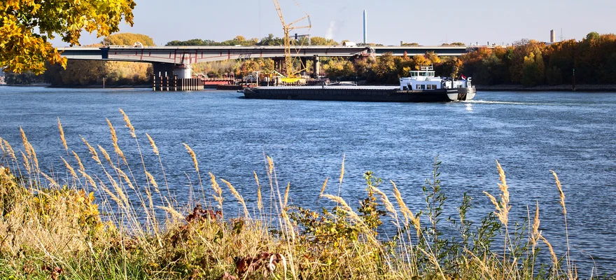 Rhine River (Wiesbaden)