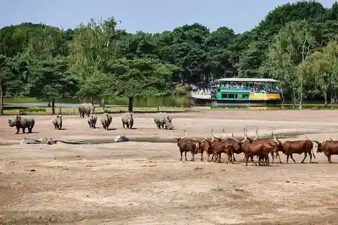 2. Safaripark Beekse Bergen
