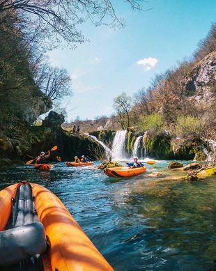 Mrežnica