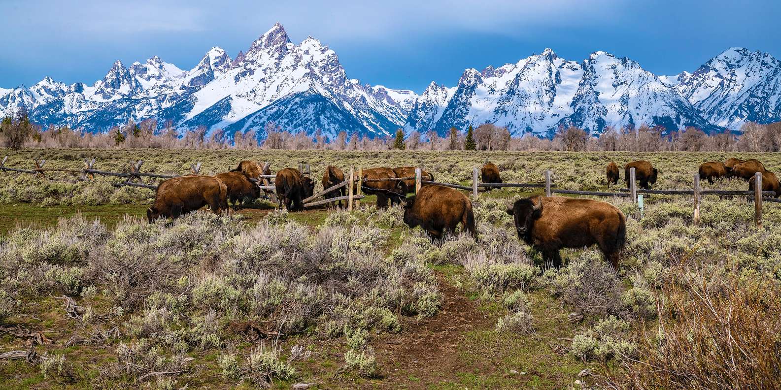 BESTE ATV Und Quad Touren Jackson Hole 2024 KOSTENLOS Stornierbar