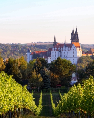 The BEST Meissen Tours and Things to Do in 2023 - FREE