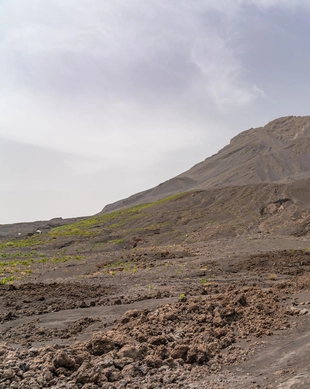 Mount Pico Natural Reserve