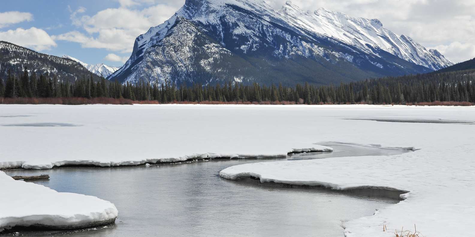 Fall Rundle Mountain The BEST Mount Rundle, Alberta Autumn activities 2023 - FREE ...