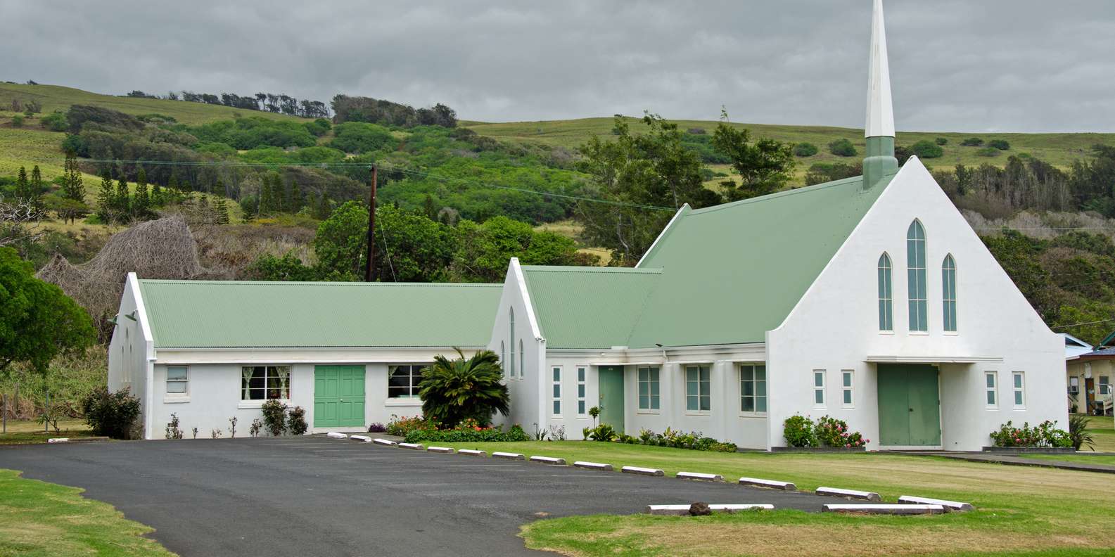 The BEST Naalehu, Hawaii Tours and Things to Do in 2023 FREE