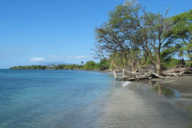 Las Mejores Actividades en Olowalu