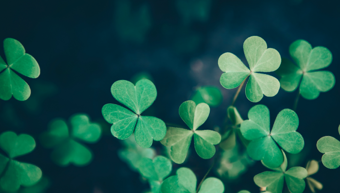 San Patrizio, birra e trifogli per la festa irlandese che chiude l