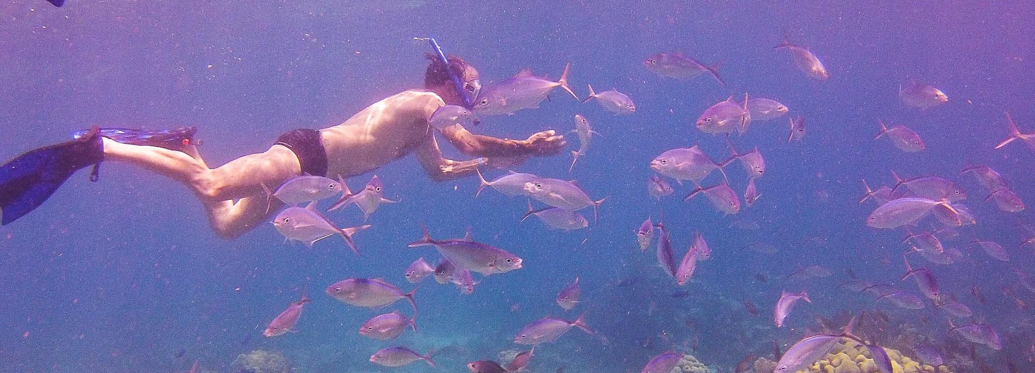 La Romana: Catalina Island Full-Day Snorkeling Tour