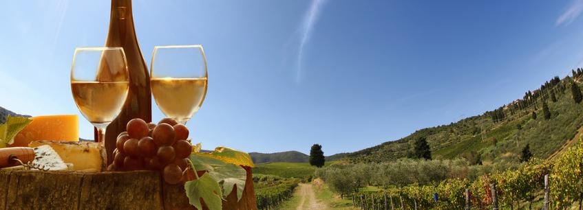 Toscana: mezza giornata con assaggio di vini da Pisa o Lucca