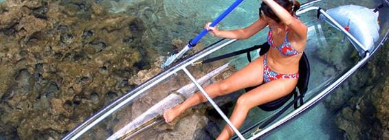 Moreton Island Shipwreck, Sand Dune & Kayak 1-Day Adventure