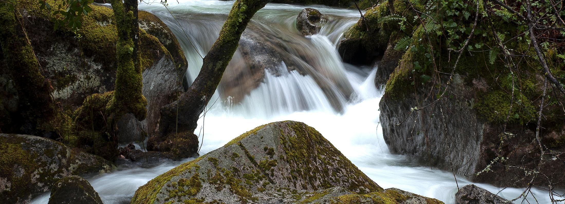 Peneda-Gerês National Park Full-Day Tour